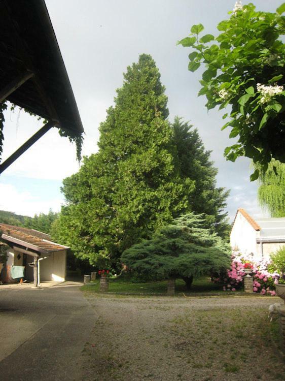 Villa Dufresne Beynost Kültér fotó
